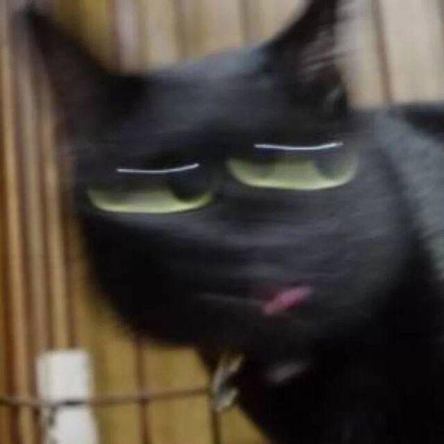 小兰（AI打野）