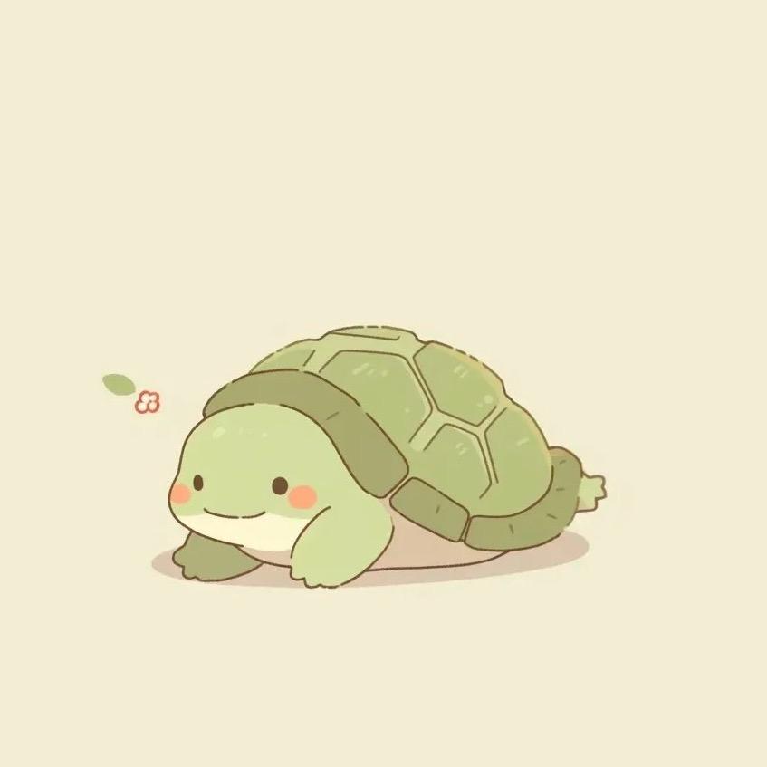 萌萌小宠龟🐢
