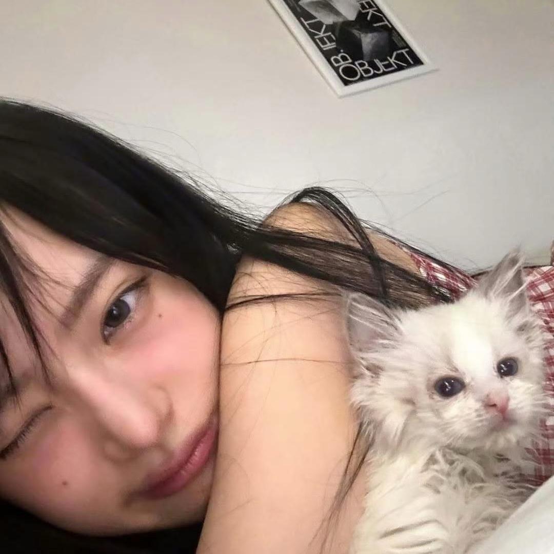 随便丸丸