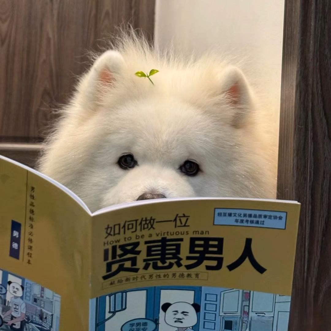 沈倾楠
