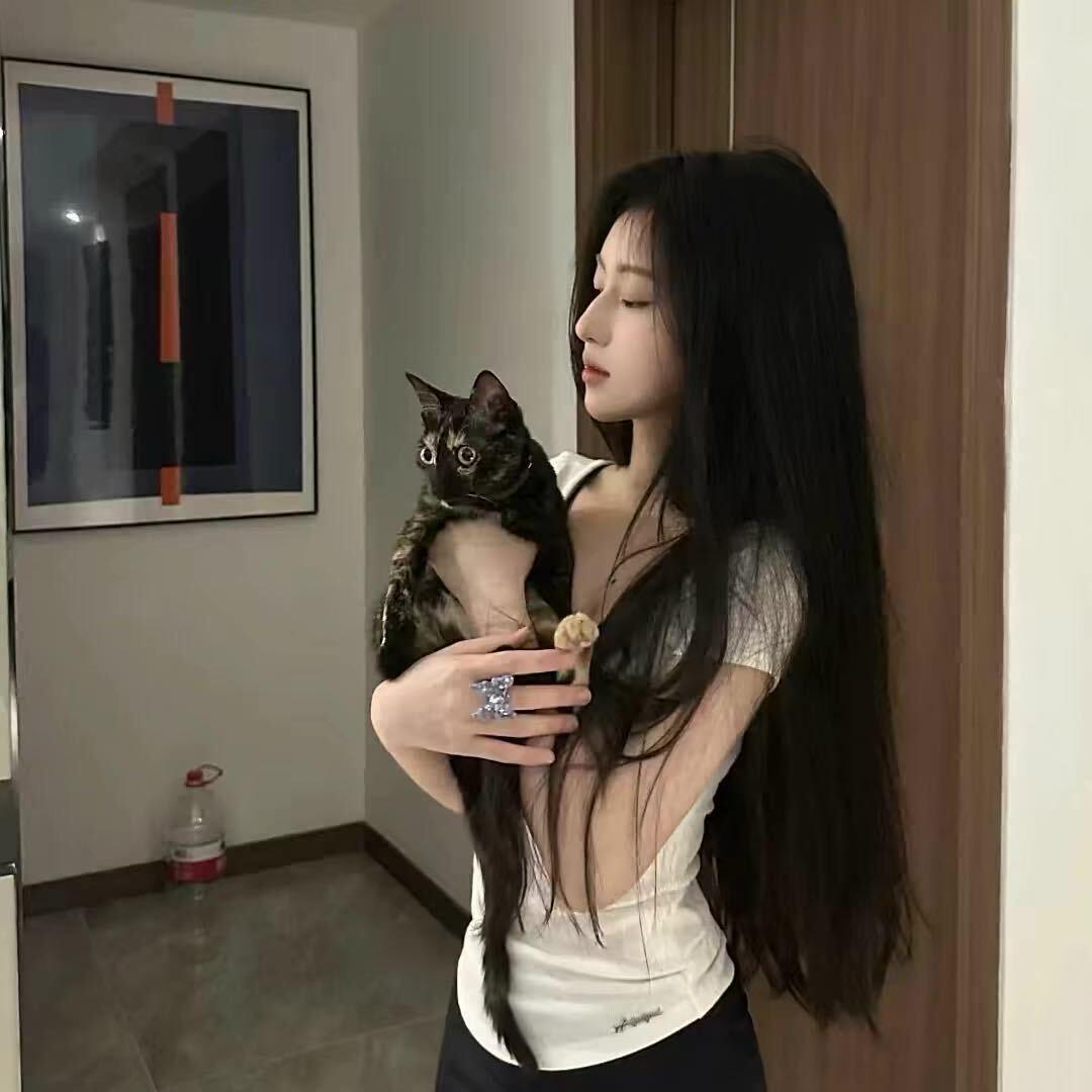 心机鱼