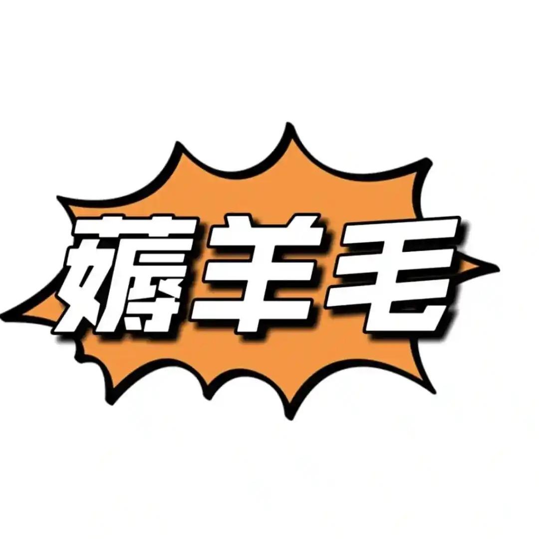 丁丁羊毛日记📓