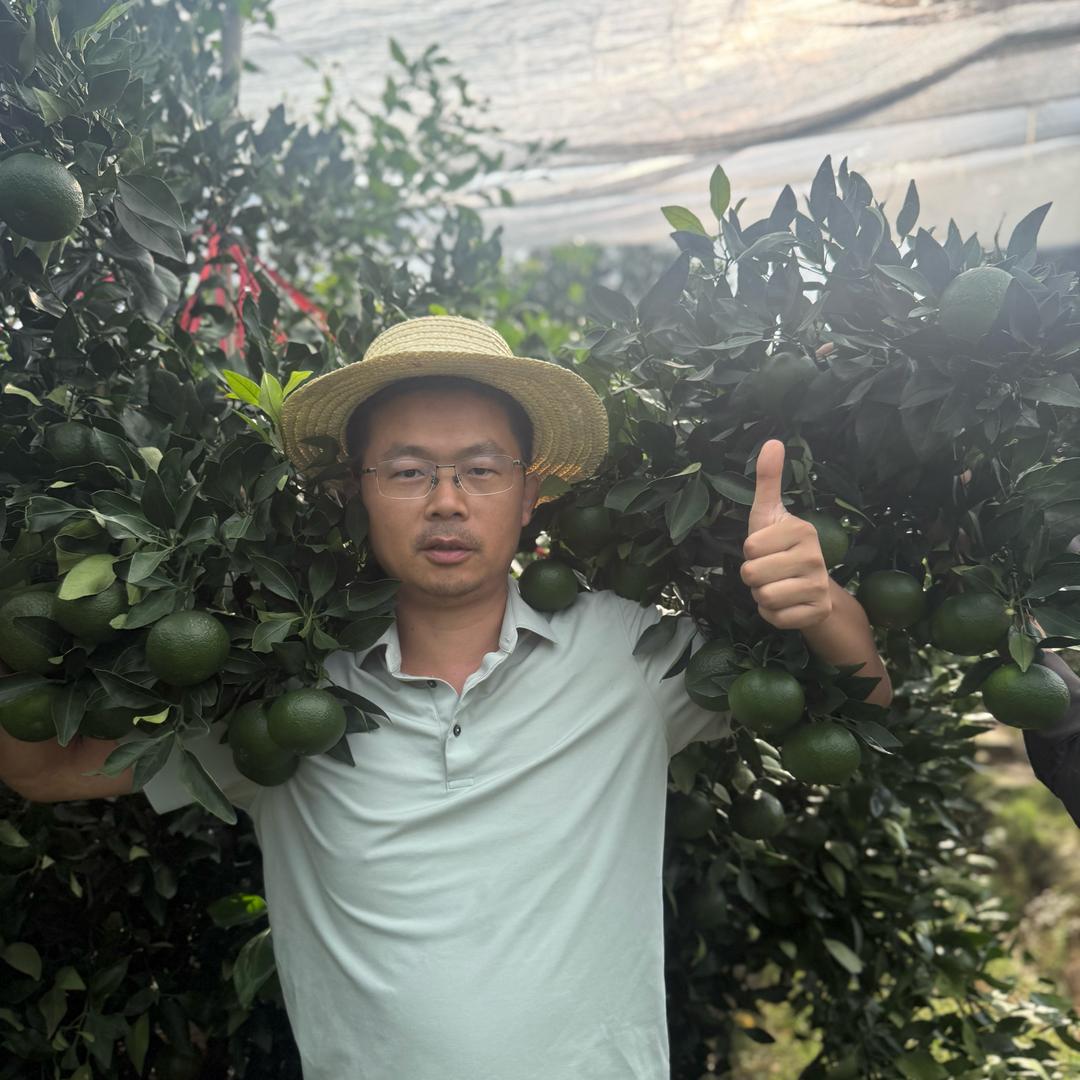 茹师说甘平