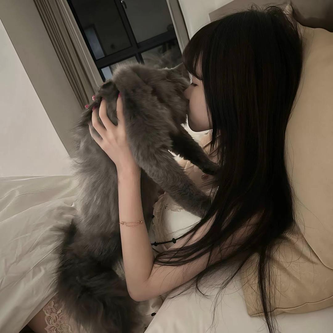 ㅤㅤㅤㅤㅤ  ︋︋︋︋︋ㅤ头像