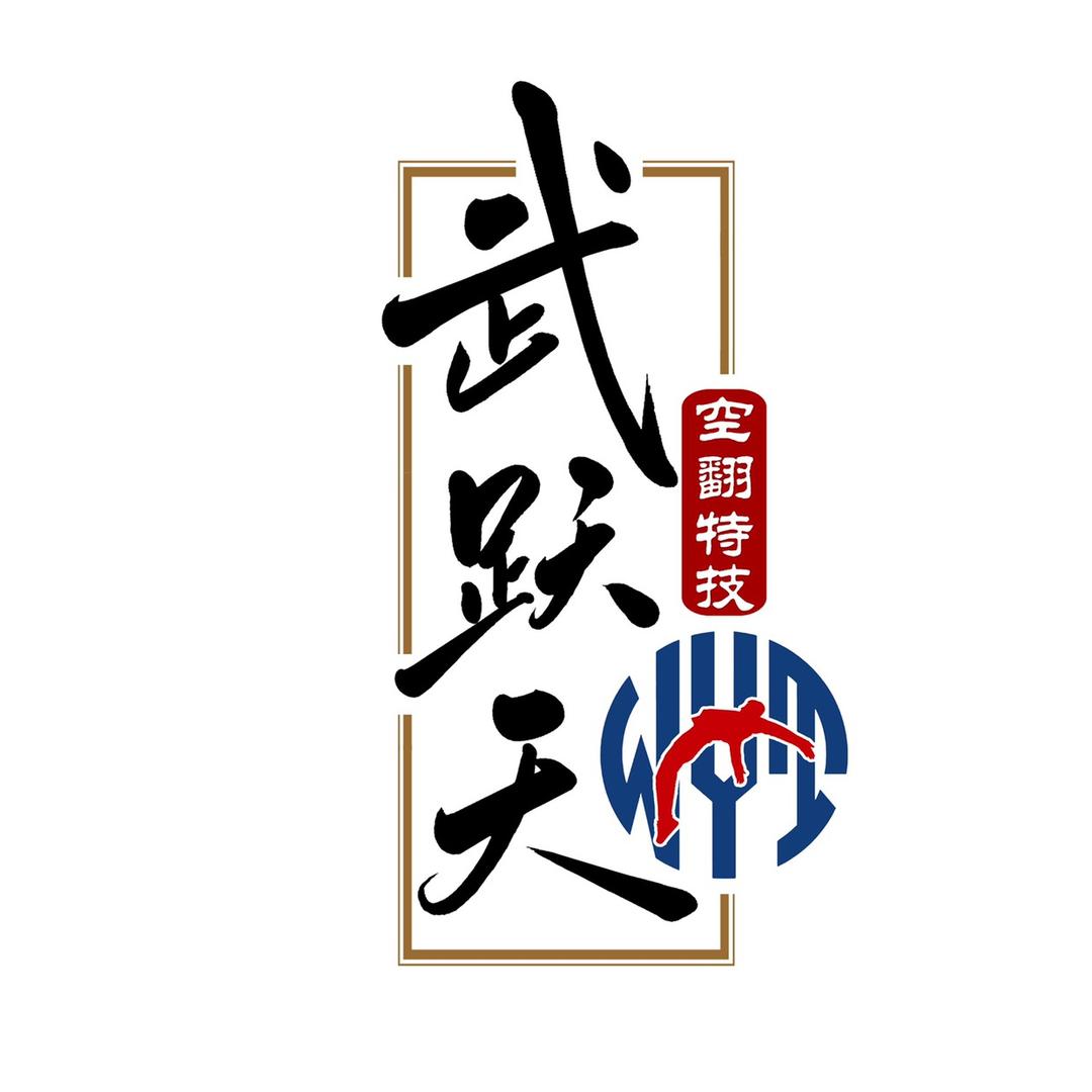 广东佛山武跃天空翻特技速成培训基地