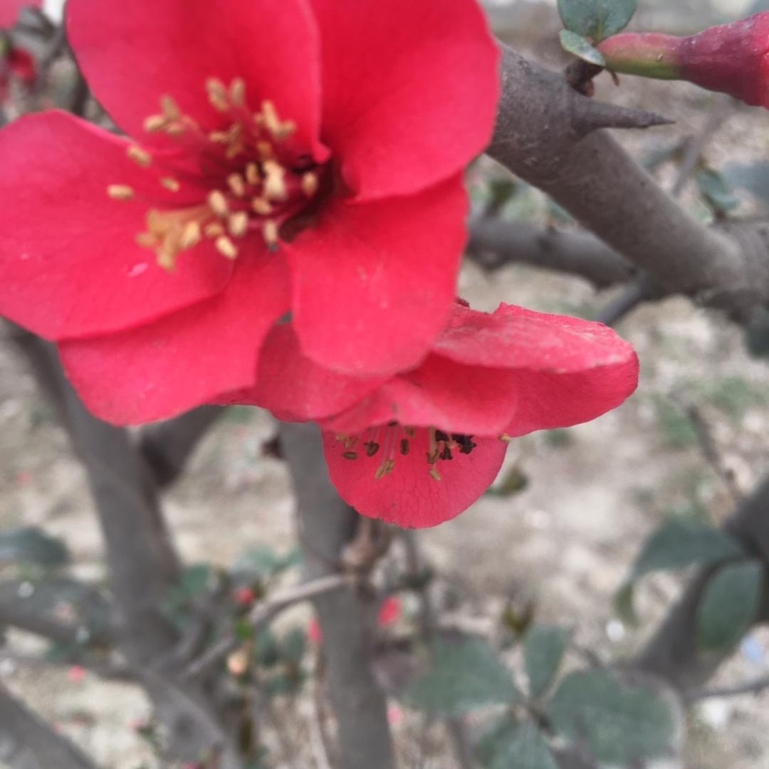 咦 兜兜里有糖