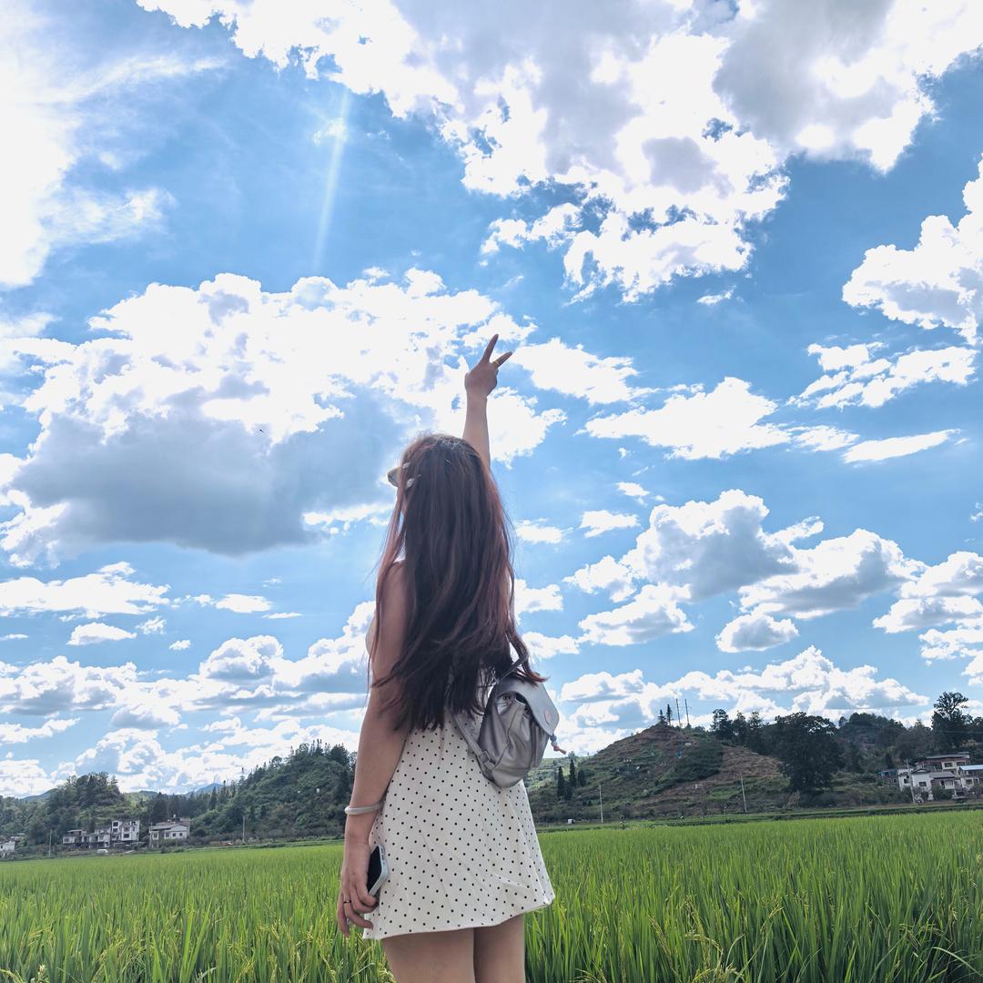 小杨咩咩