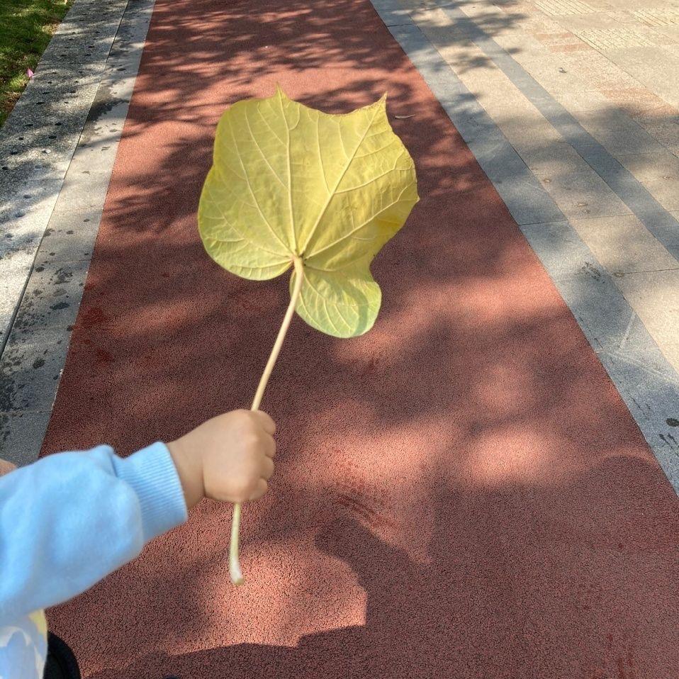 方方