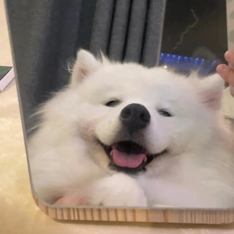 源源