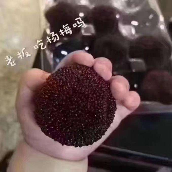 渣男祖师爷