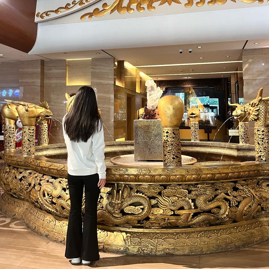 铜铜的坦克TANK