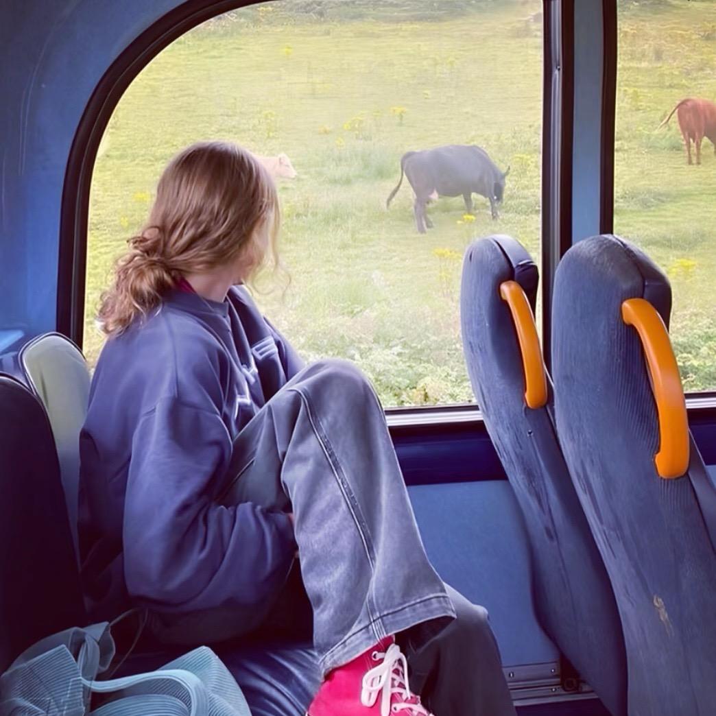 𝑅𝑜𝙨𝑒 .🦋