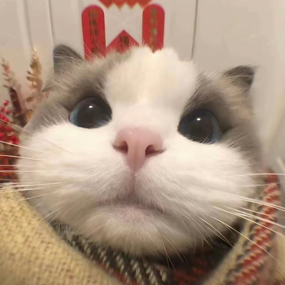戴上耳机