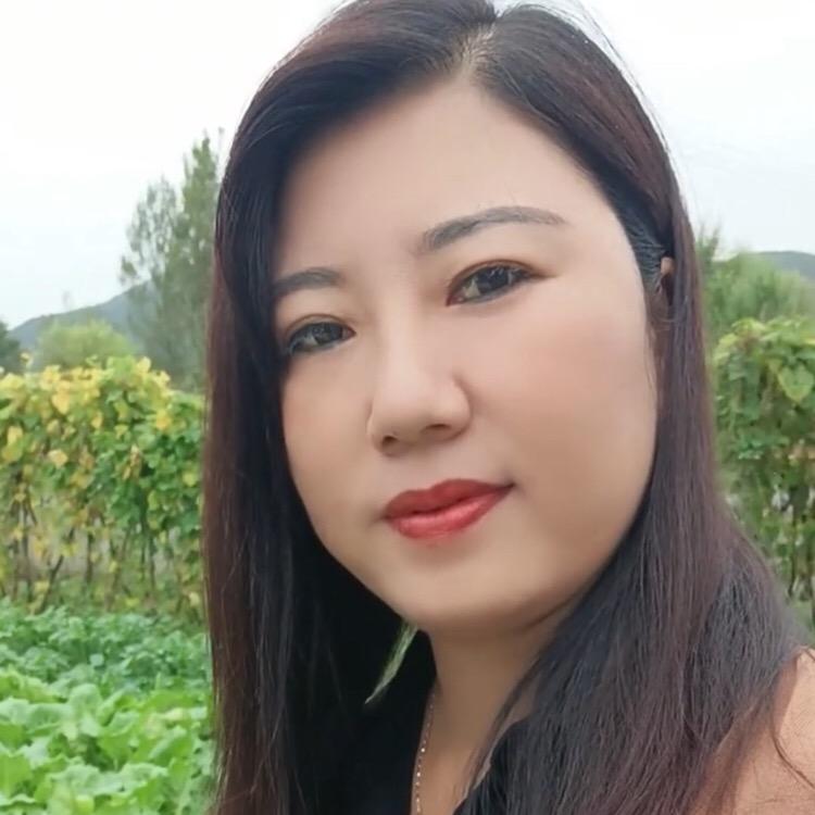 紫梅单身