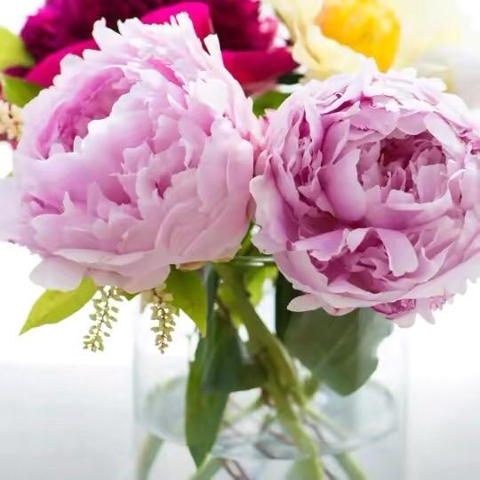 芳