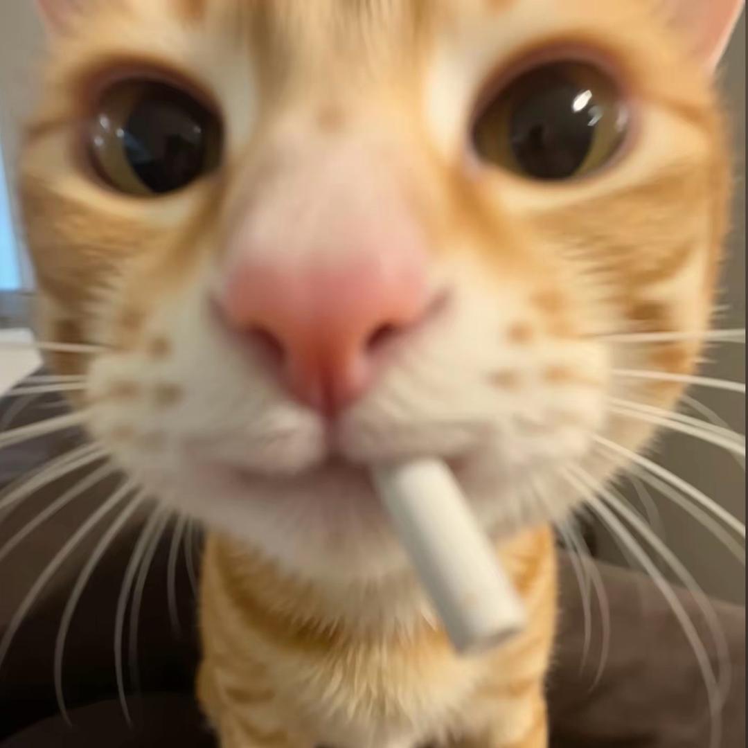 秋以为期