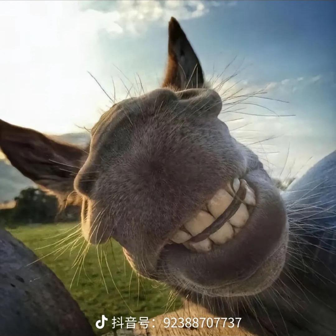 亳～蚌～青：涂涂