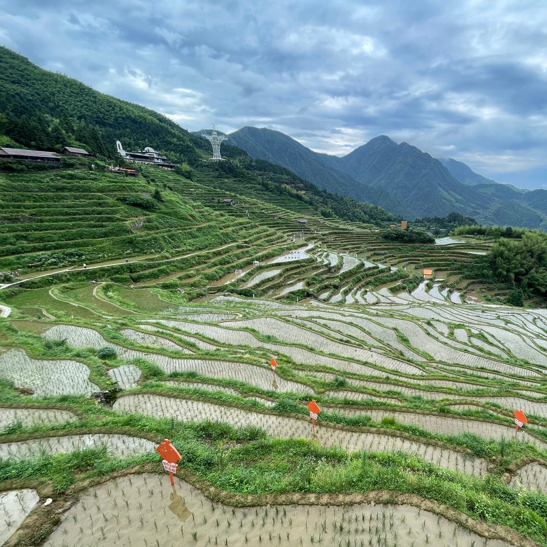 家电清洗