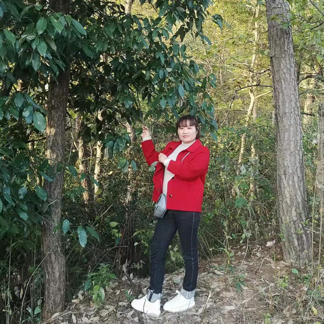 山不转水转