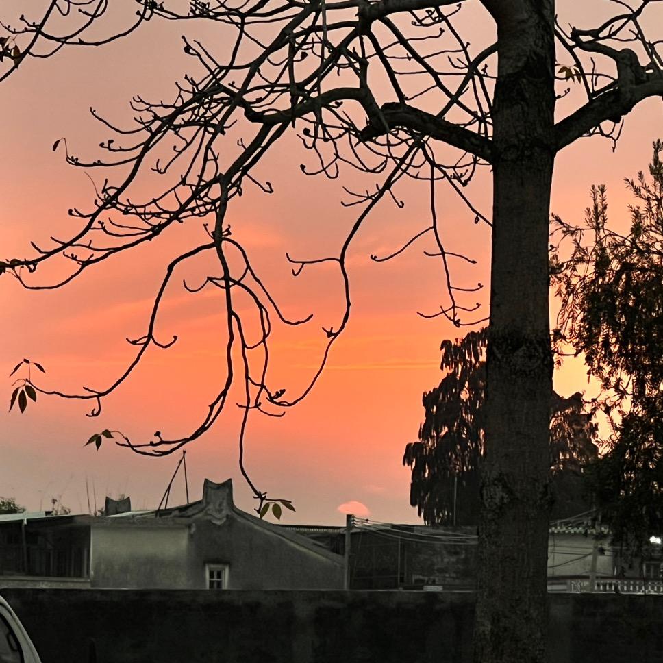 肠粉加粿加油条