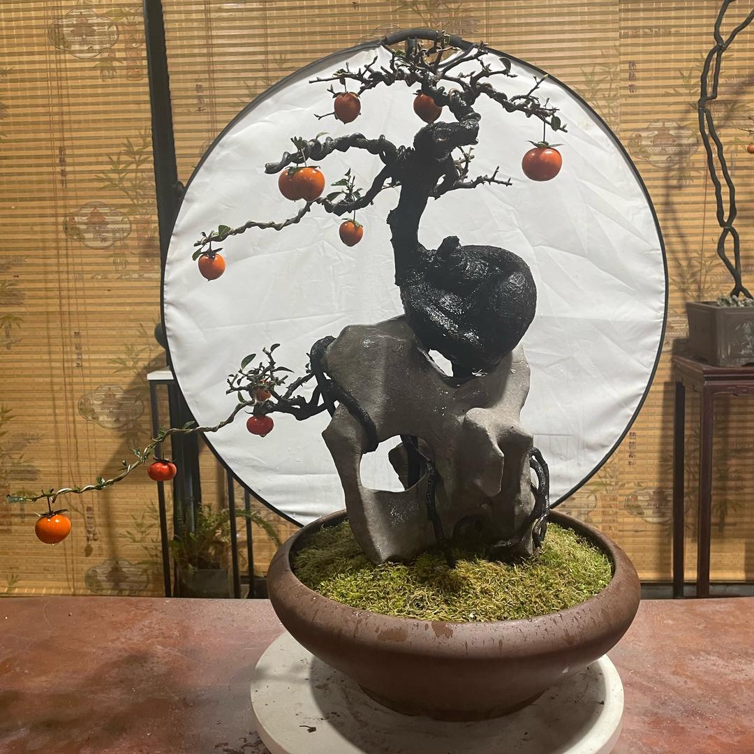 金弹雅筑坊