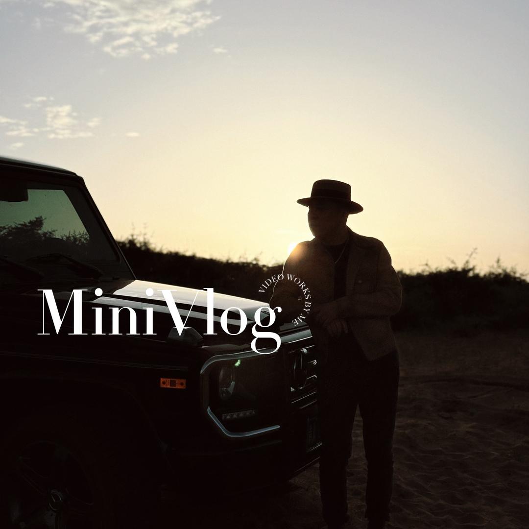 青海微莱二手车（招销售）