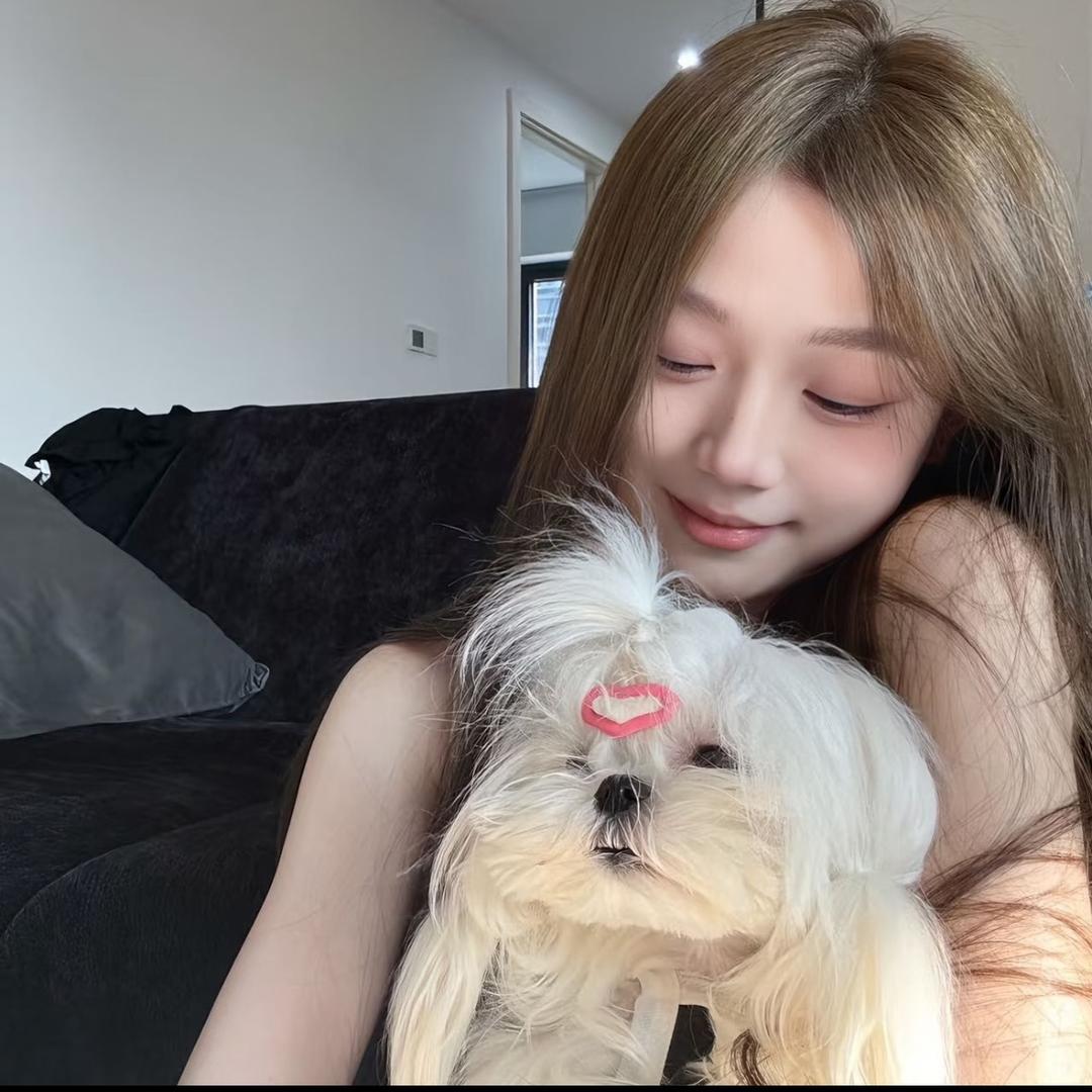 ViVi