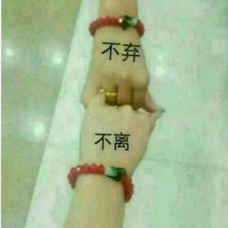 《不离不弃》☀️