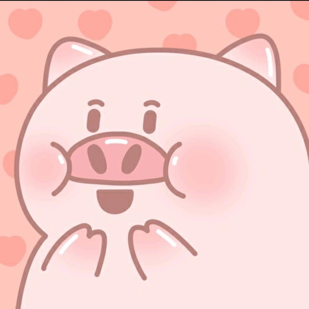 🌈🐼🐷八宝小猪猪🐷🐼🌈