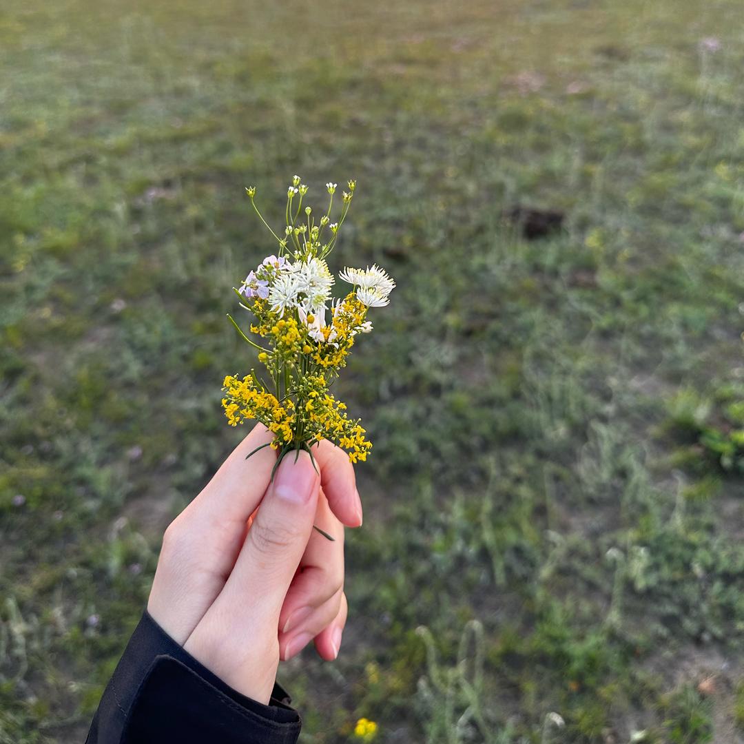 买薯条老板不给番茄酱