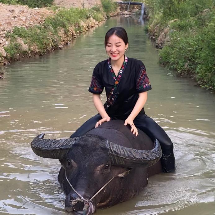 文叶.牛妹🐮@抖音