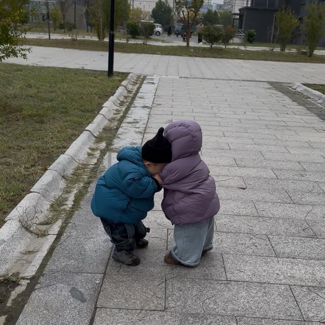 文曦三胎龙凤胎