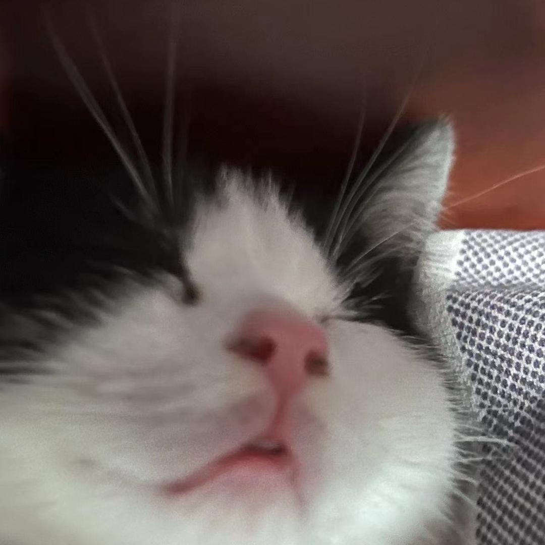 刘家骅