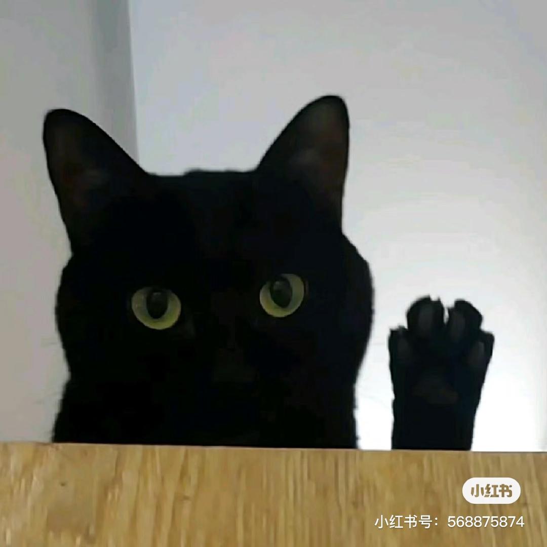 孤儿院长