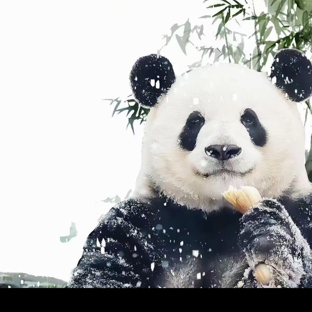 纯属分享