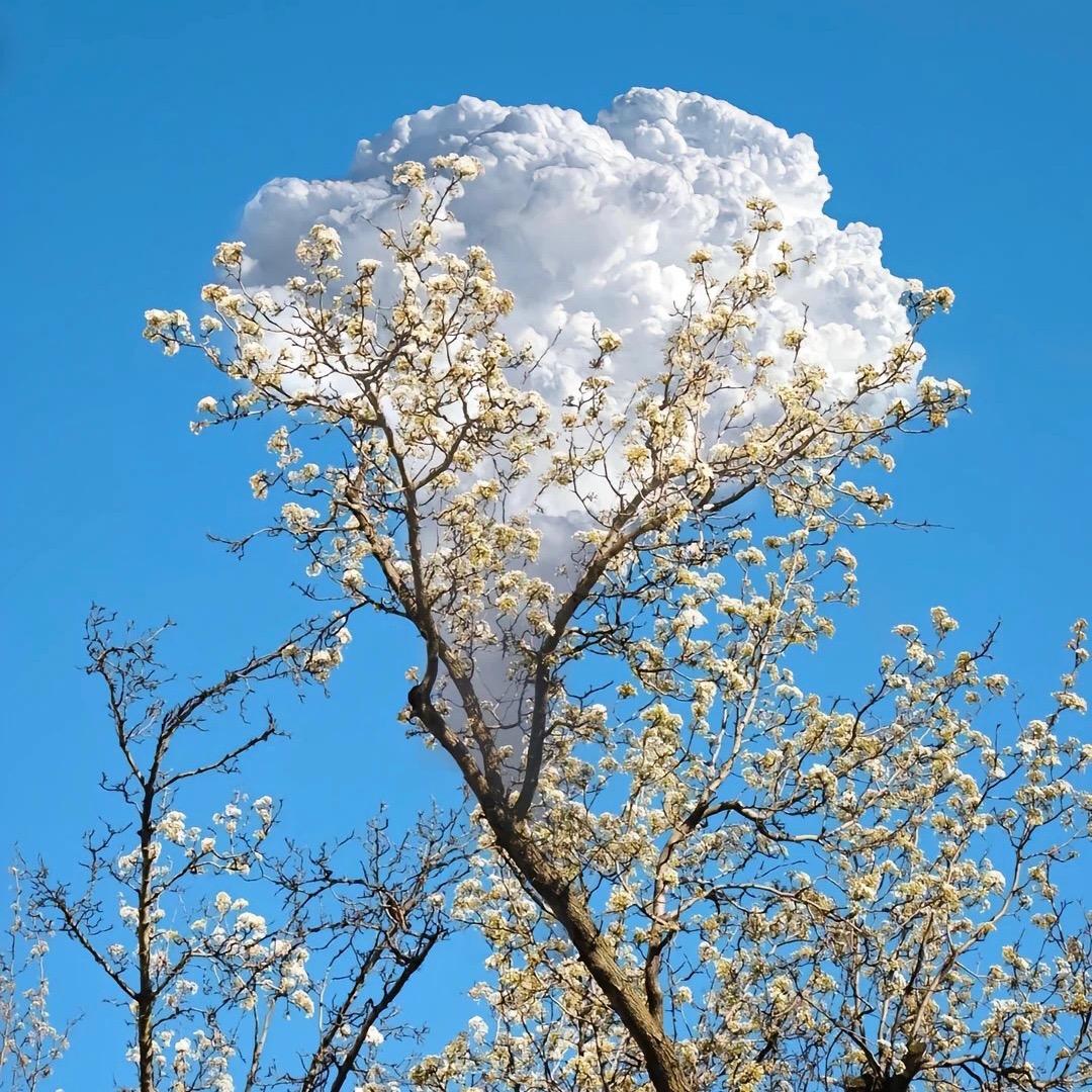 白菜GG的日常@抖音