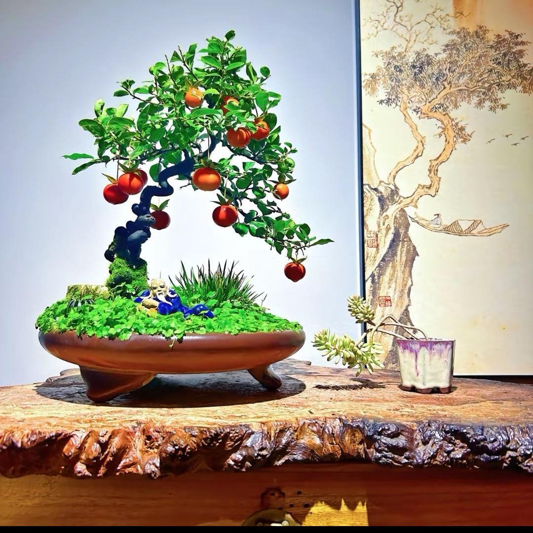 都江堰市宇稷园艺场