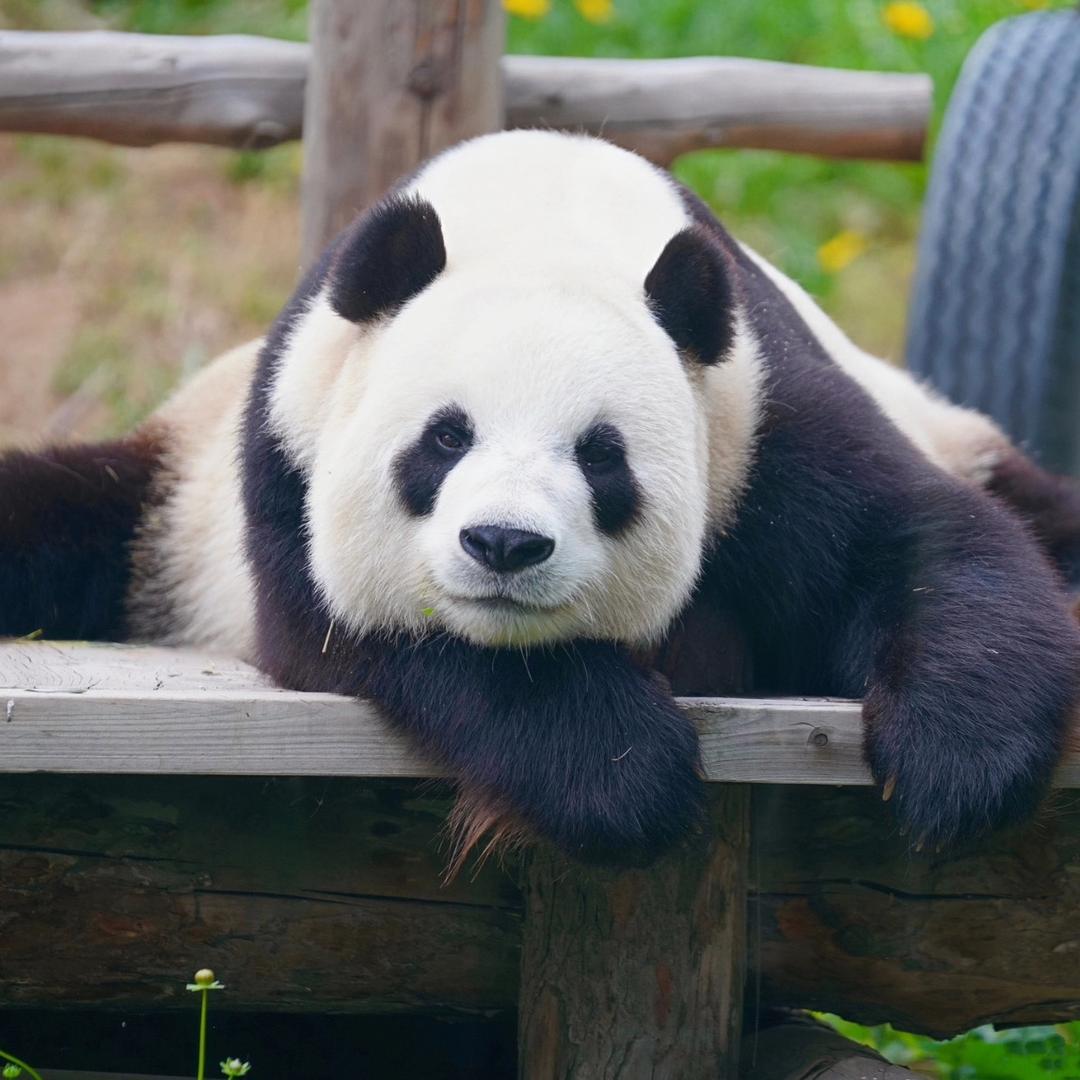 我有一台老旧缝纫机