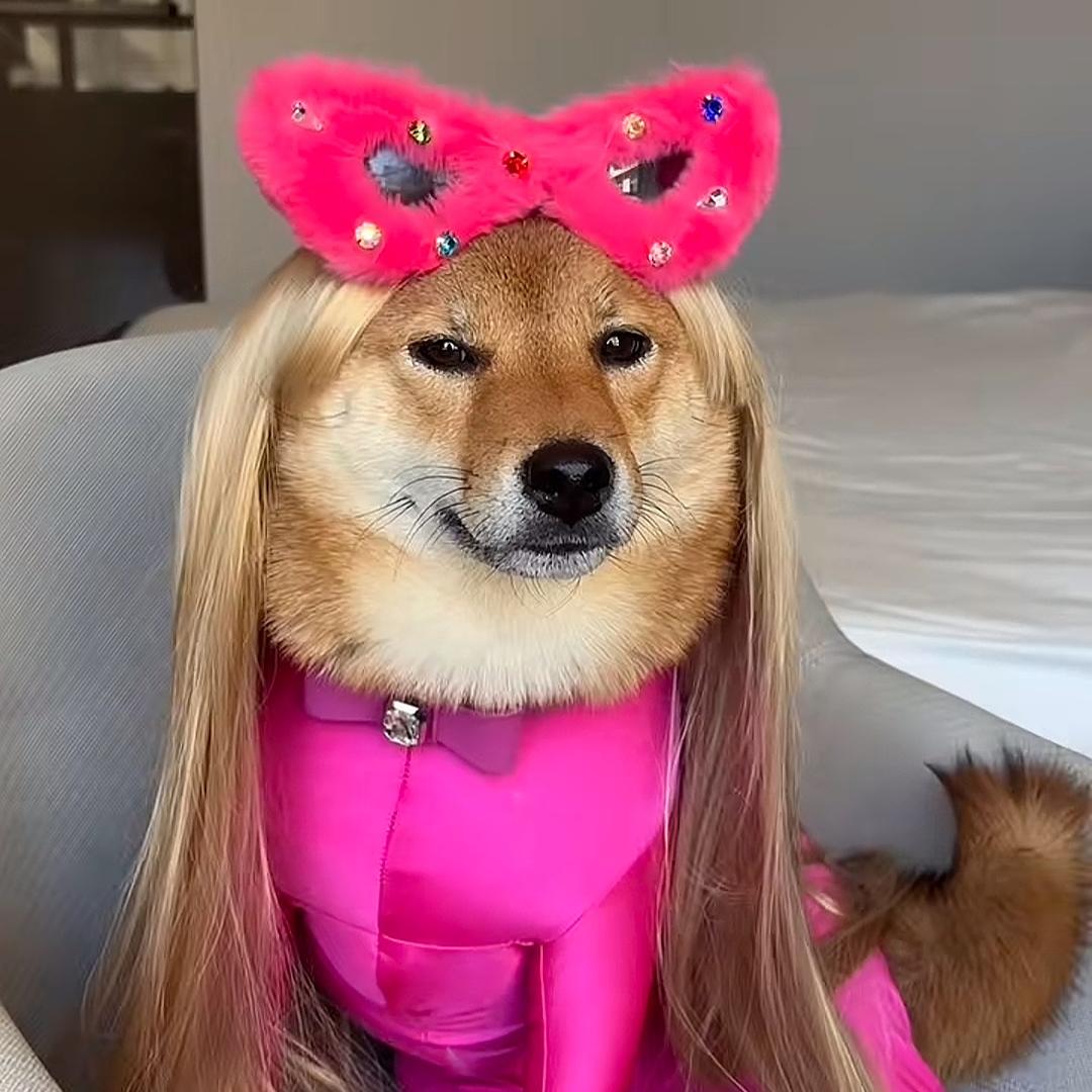 凹凸曼来咯