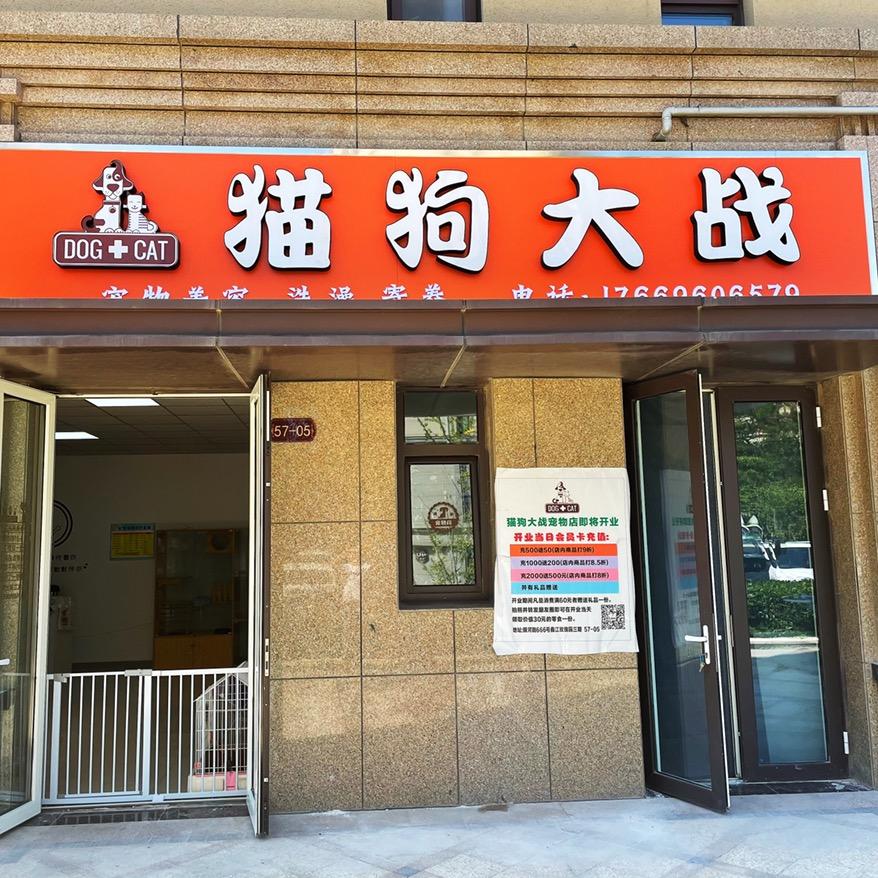 猫狗大战
