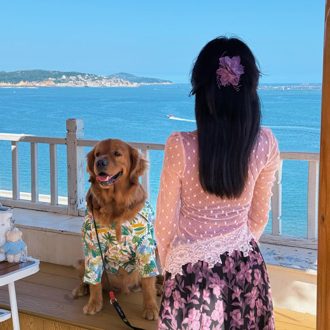 你是不是油猫饼