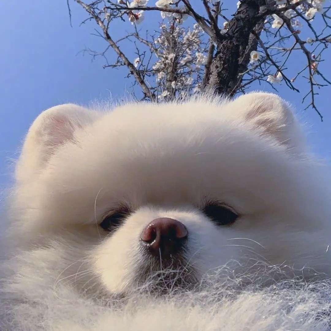 李富贵儿🙈全国应援妆造