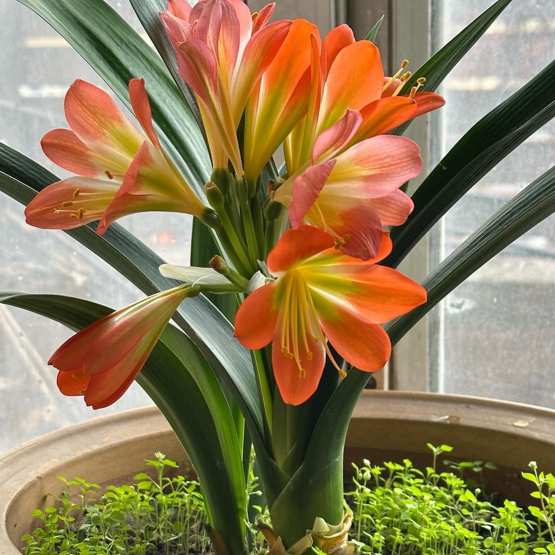 好不