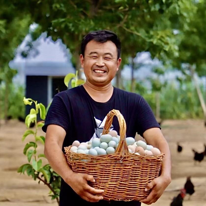 张雅茹家散养土鸡