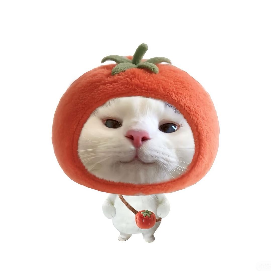 oo滴滴