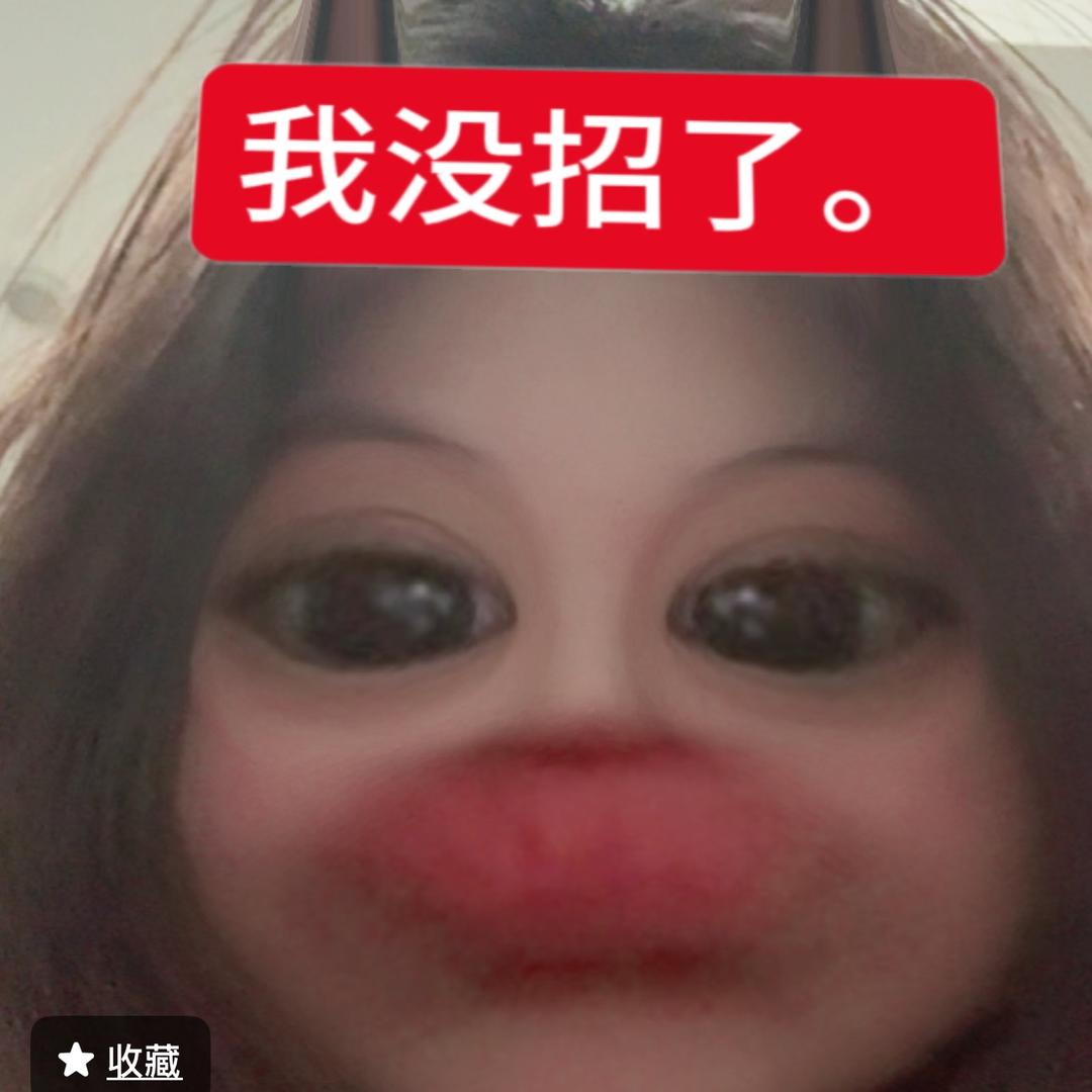 我想当罗辑