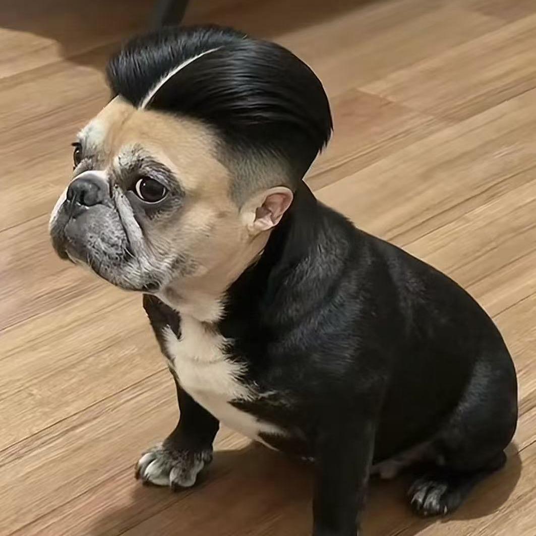 丶 逢场作戏。💋