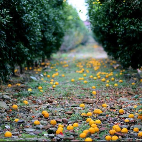 七颜初夏🍹🌈