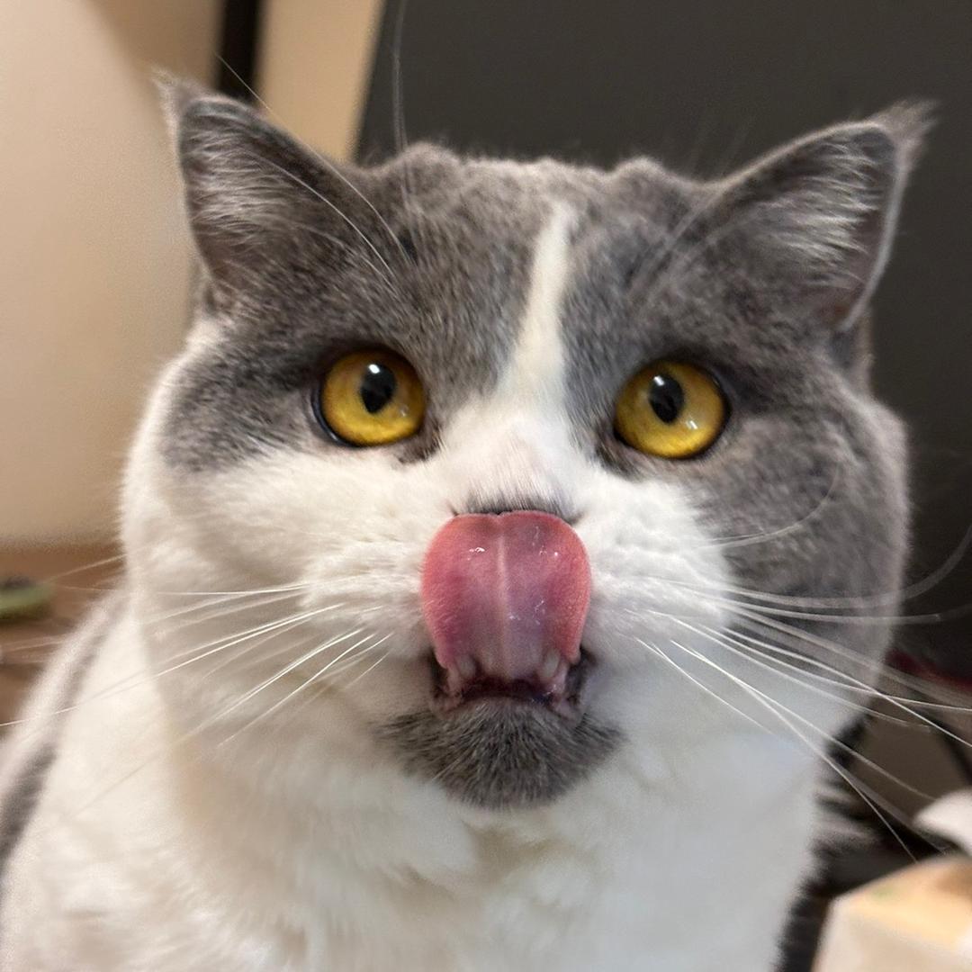 晚风吹来了晚晚