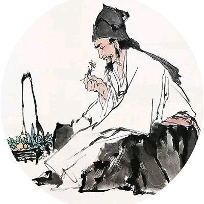 杏林术